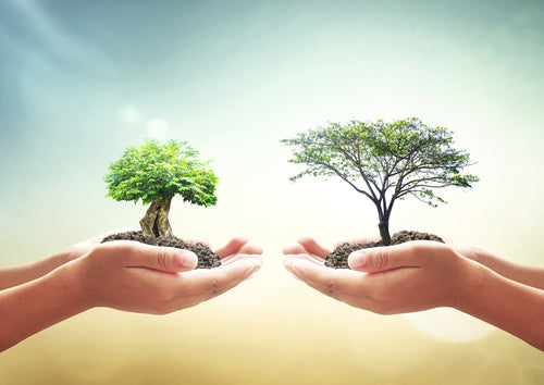 Tipps für umweltfreundliche Werbematerialien